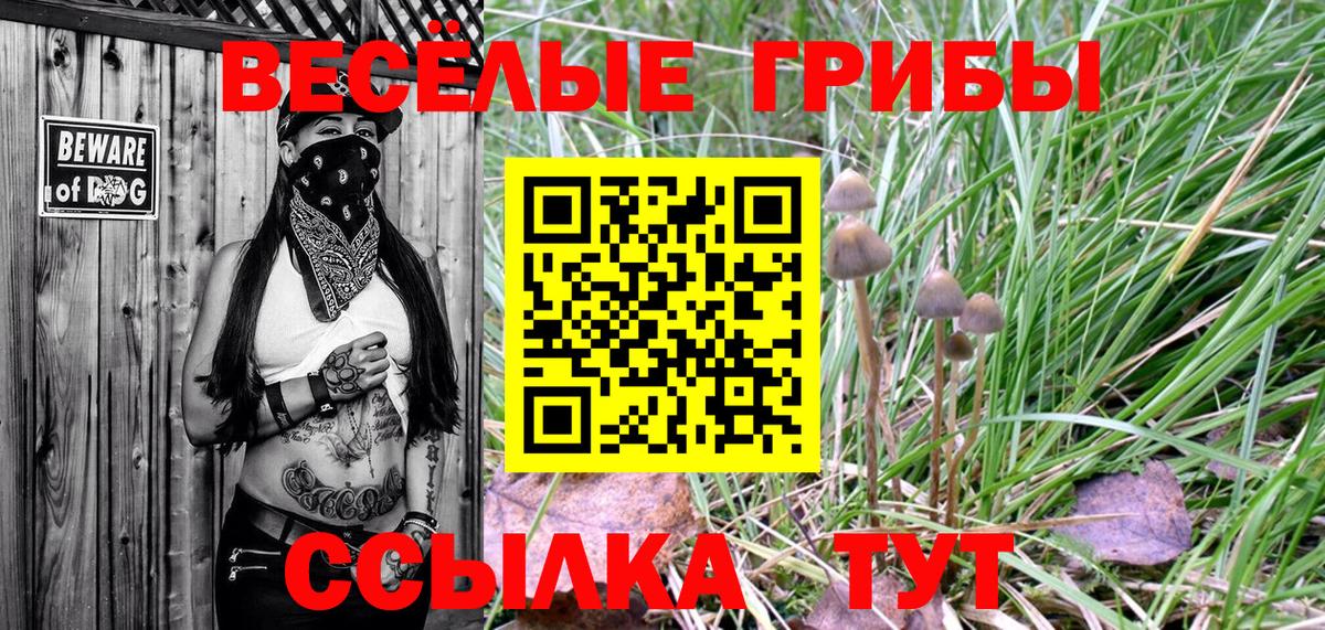 Галлюциногенные грибы GOLDEN TEACHER  Вход с VPN  Псилоцибиновые грибы мицелий  Сатка 