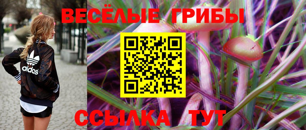 Псилоцибиновые грибы Psilocybine cubensis Сатка